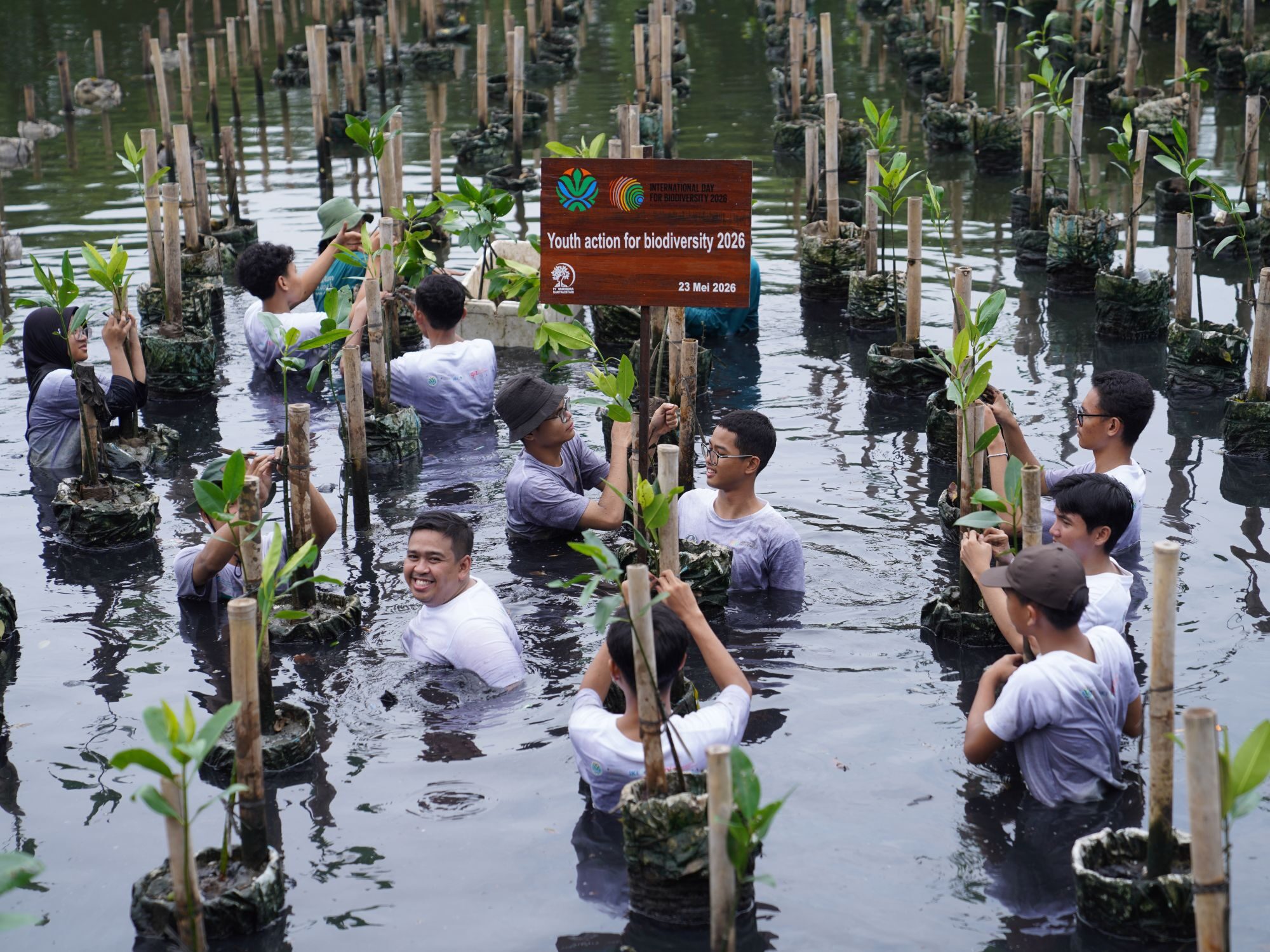 KLH dan GIZ Gandeng Generasi Muda Jaga Ekosistem Mangrove