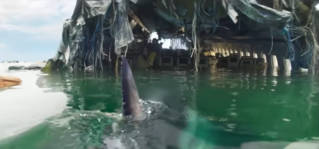 Serangan hiu menjadi mimpi buruk berikutnya bagi para penyintas Deep Water. Di tengah laut lepas, mereka harus bekerja sama menghadapi predator yang terus mendekati lokasi reruntuhan pesawat. (Tangkapan layar Magenta Light Studios)